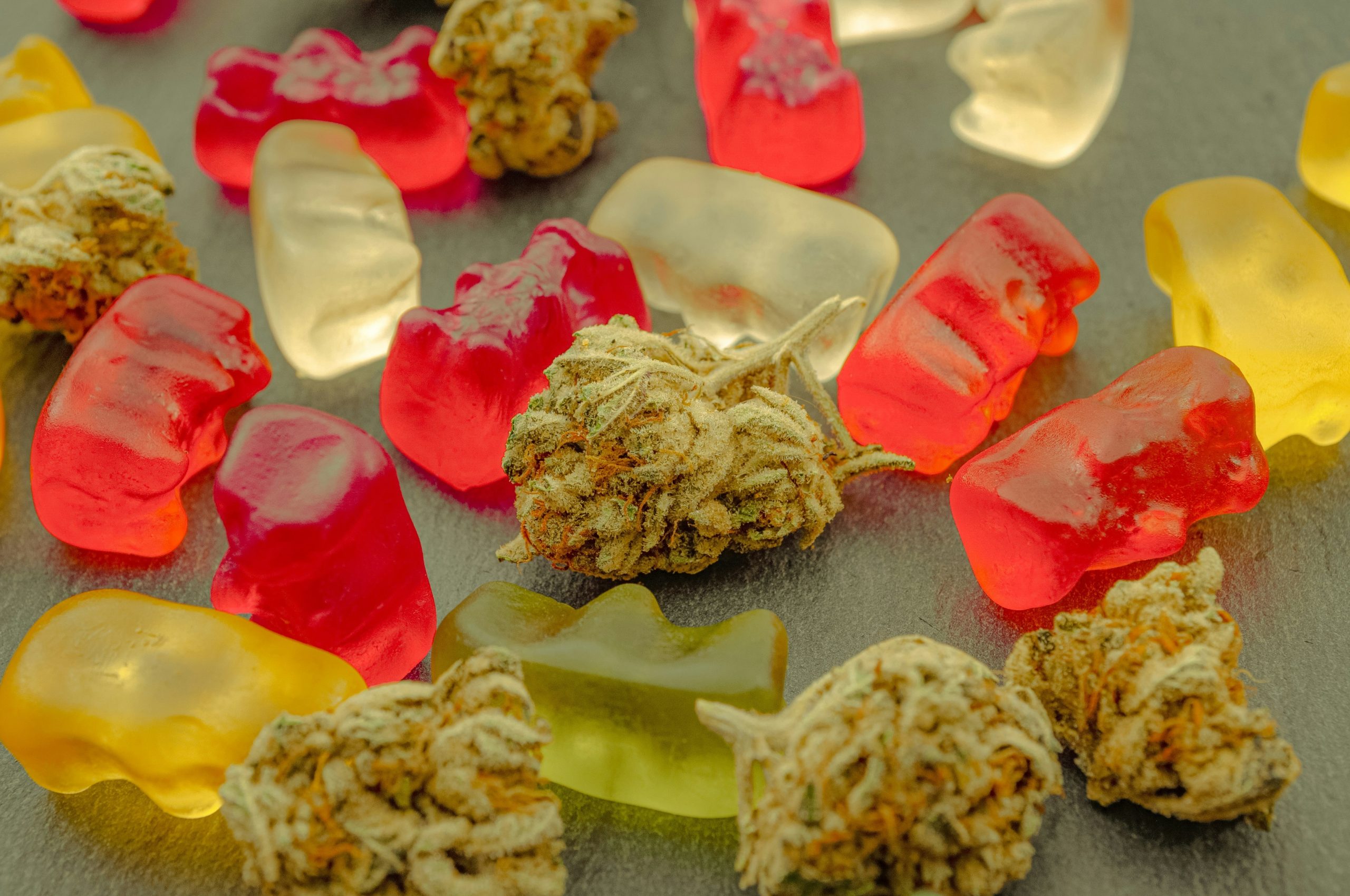 Everything to Know About Legal Mushroom Gummies and Oregon Rules